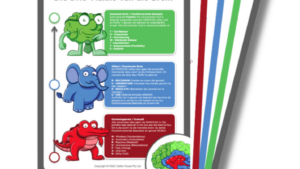 Brain Poster Set - Afrikaans